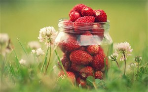 素食草莓图片