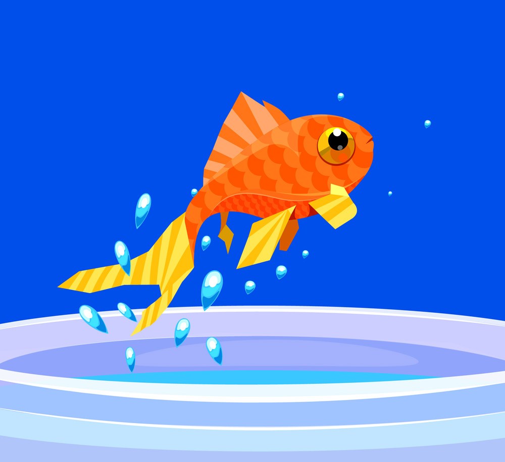 跳出水面的鱼卡通图片