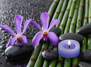水疗紫色花朵紫色蜡烛
