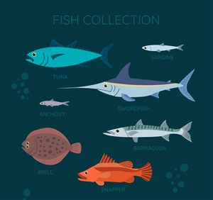 7款彩色海洋鱼类设计矢量素材