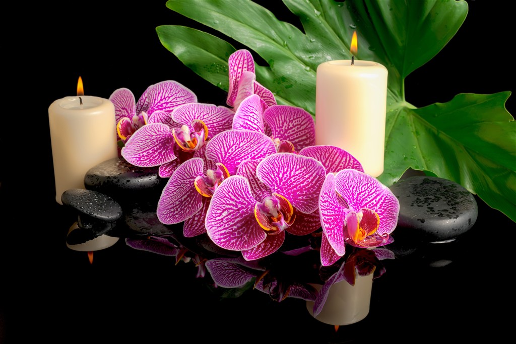 紫色蝴蝶兰水疗蜡烛
