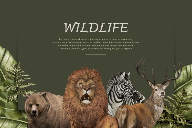 手绘狮子熊斑马鹿麋鹿有角的鹿绿叶 手绘动物插画展板海报背景素材