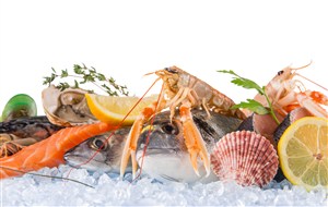 冰镇海鱼海产食材高清图片