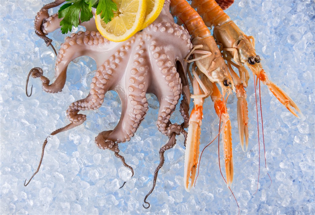 冰镇海虾章鱼食品高清图片