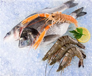 冰块上的海鱼和海虾高清图片