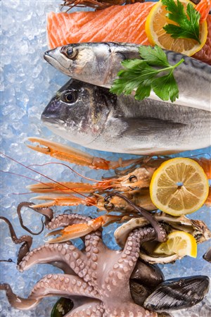 冰块上的多种海鲜食品高清图片