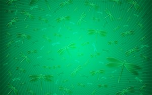 纯色绿色蜻蜓背景壁纸