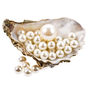 贝壳里的珍珠高清图片
