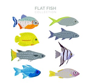 8款扁平化彩色鱼类矢量素材