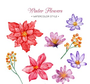 8款水彩绘冬季花朵矢量素材