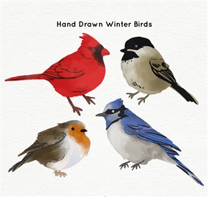 4款水彩绘鸟类设计矢量图