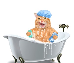 在浴盆洗澡的可爱猫咪图片