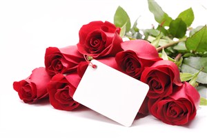 卡片红玫瑰花鲜花图片