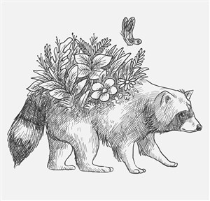 手绘背上开花的浣熊矢量素材