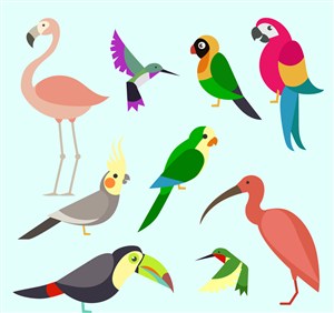 7款彩色鸟类设计矢量素材