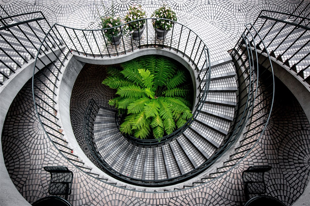 灰色中央绿植旋转楼梯