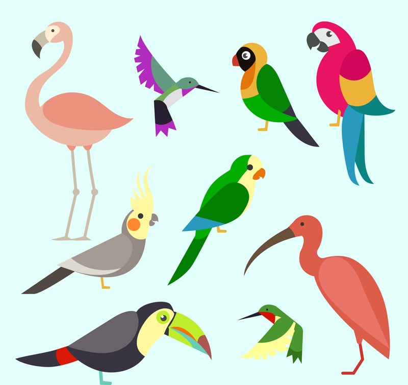 7款彩色鸟类设计矢量素材