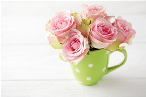 杯子里的清新粉色玫瑰高清图片