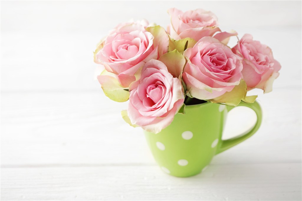 杯子里的清新粉色玫瑰高清图片
