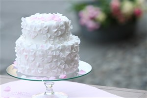 双层纯白樱花蛋糕素材图片