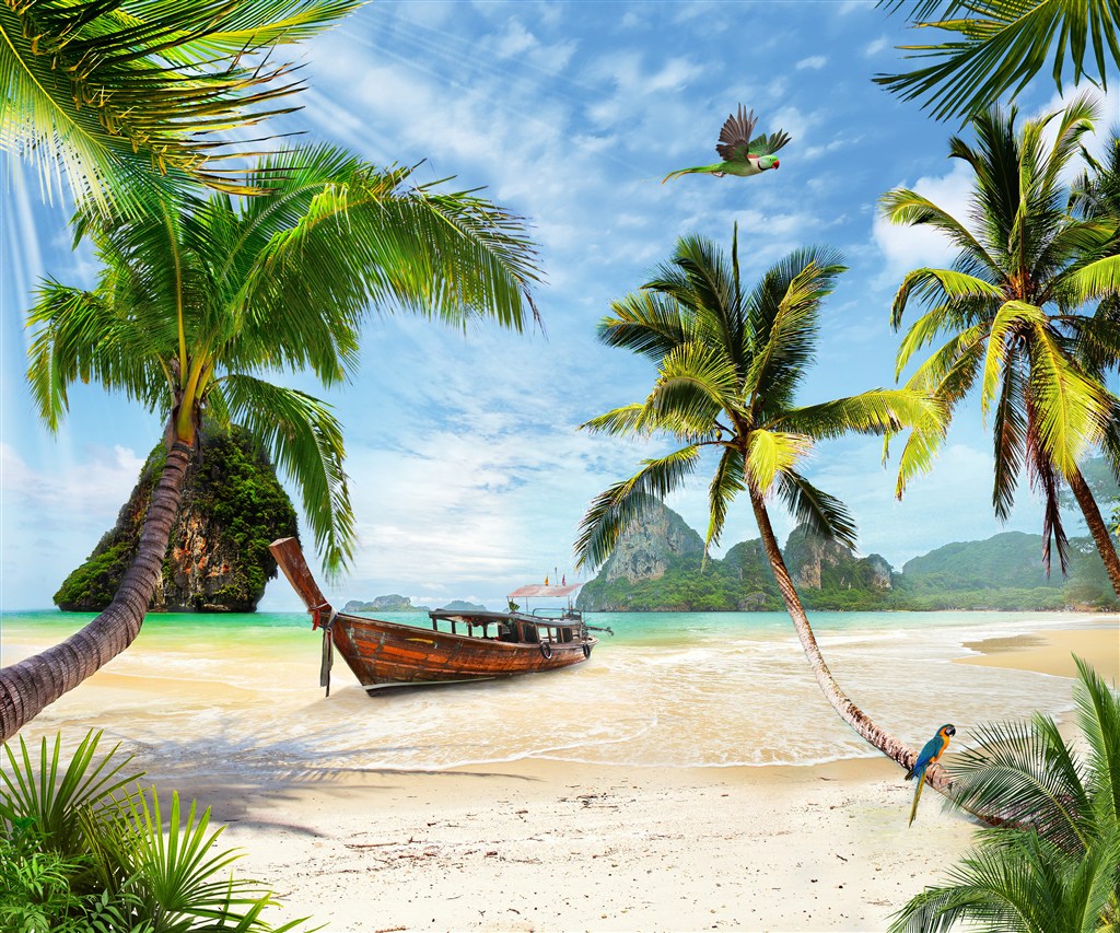 高清海边沙滩椰树风景图片