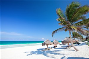 高清海边沙滩椰树风景图片