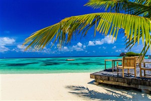 高清唯美海滩沙滩椰树风景图片