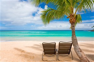高清唯美海滩椰树下的沙滩椅风景图片