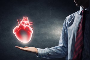 人体器官图手上的红色心脏图片