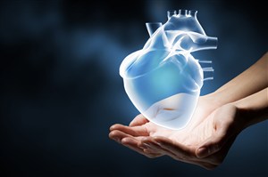 人体器官图双手捧着心脏设计素材