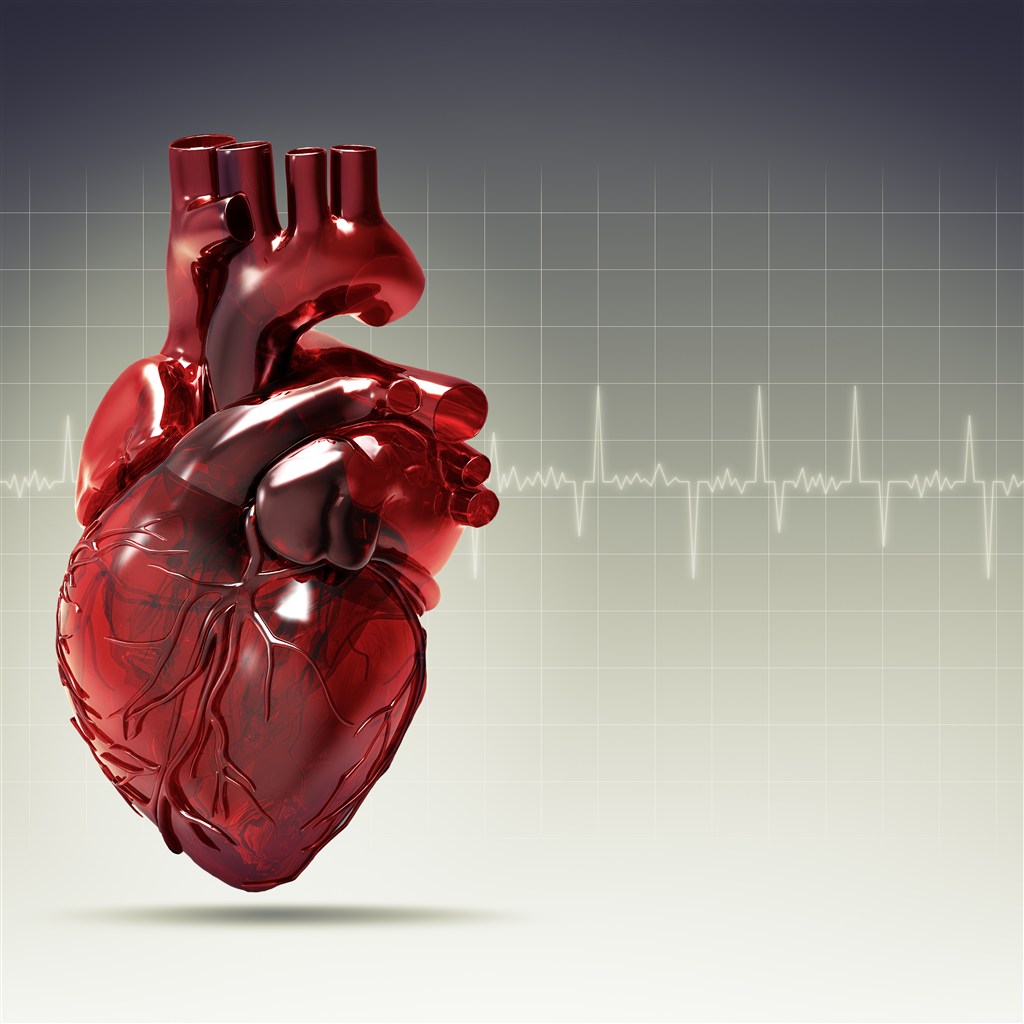 人体器官心脏心电图设计素材