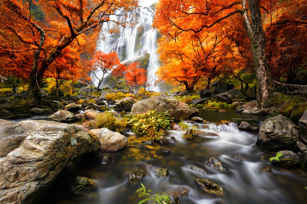 高清秋天森林瀑布风景图片