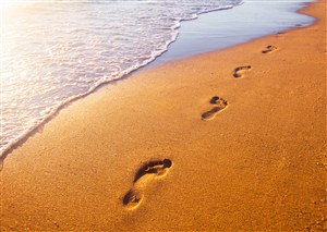 金色沙滩上的脚印高清图片