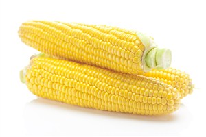 白色背景上叠起的新鲜玉米高清