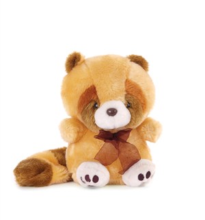 棕色萌萌的小浣熊高清图片