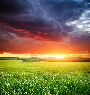 夕阳下的绿色草原高清图片