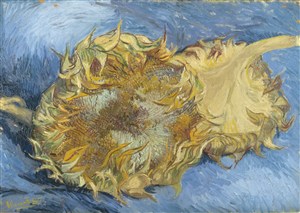 梵高作品向日葵花卉静物油画图片