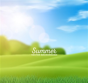 创意夏季阳光下的草地模糊风景矢量图