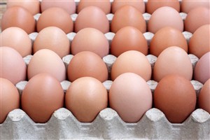 整齐排在鸡蛋框里的鸡蛋 