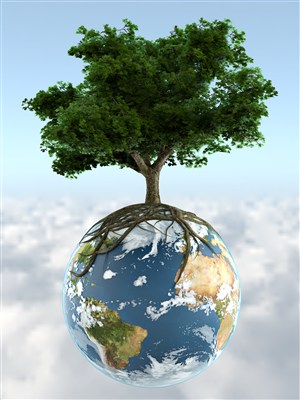 蓝色地球上生长的树木高清图片
