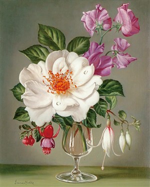 高清花卉油画图片