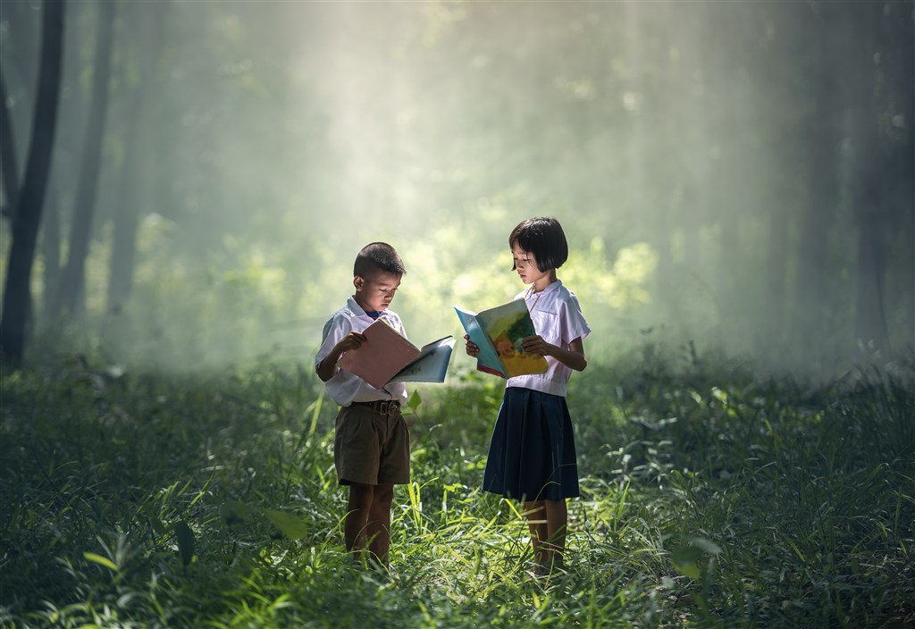 人物灵秀站在森林中阅读的男孩女孩儿童阅读户外