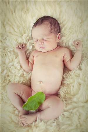 毛绒绒被子上睡着的小宝宝高清图片