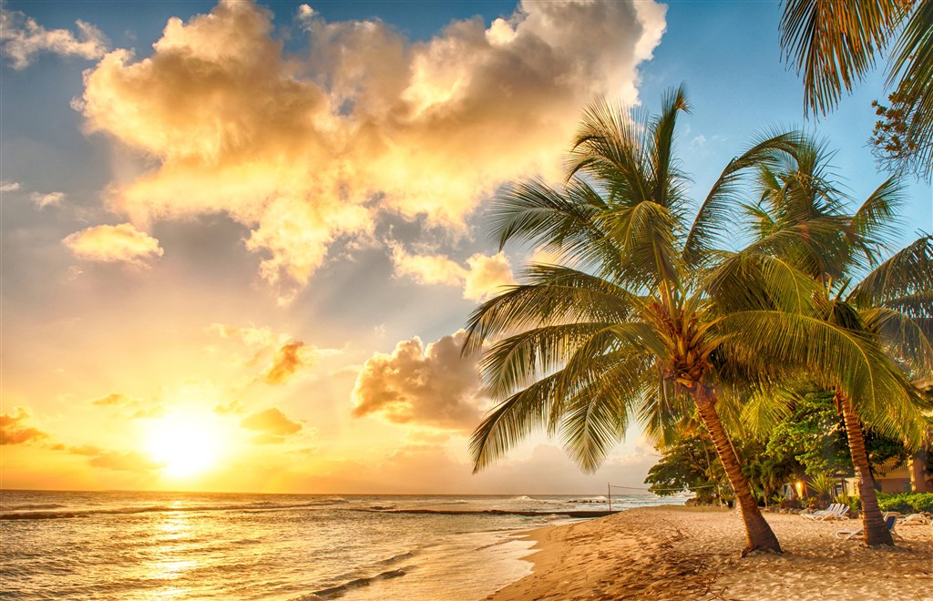 夕阳椰树沙滩风光