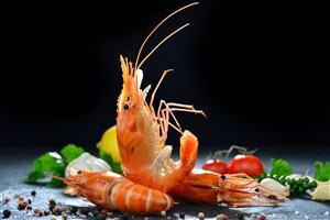 海鲜菜品中的鲜虾特写高清摄影图