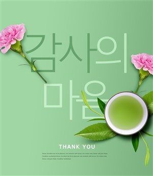 清新绿茶康乃馨感恩礼物海报