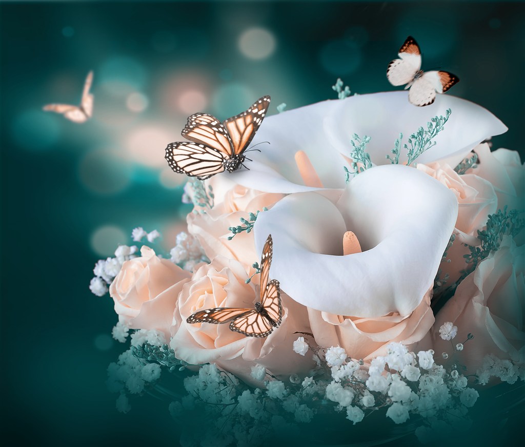漂亮的蝴蝶和鲜花高清图片