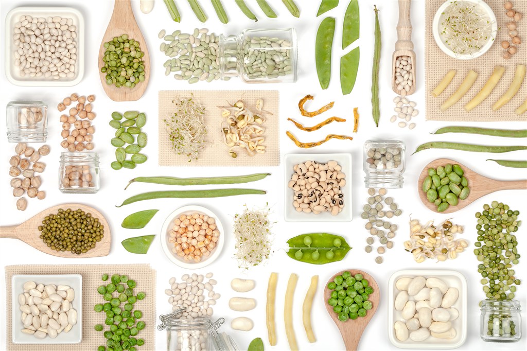 排列整齐的各类豆子高清图片