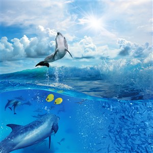 天空下跃出蓝色海面的海豚高清图
