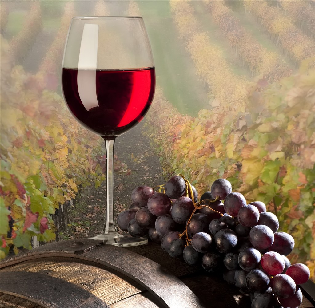 葡萄庄园中的红酒和葡萄